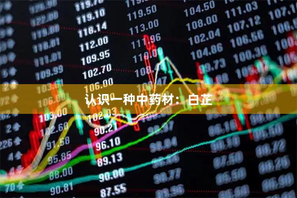 认识一种中药材：白芷