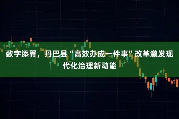 数字添翼，丹巴县“高效办成一件事”改革激发现代化治理新动能