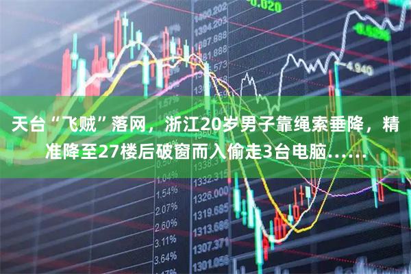 天台“飞贼”落网，浙江20岁男子靠绳索垂降，精准降至27楼后破窗而入偷走3台电脑……