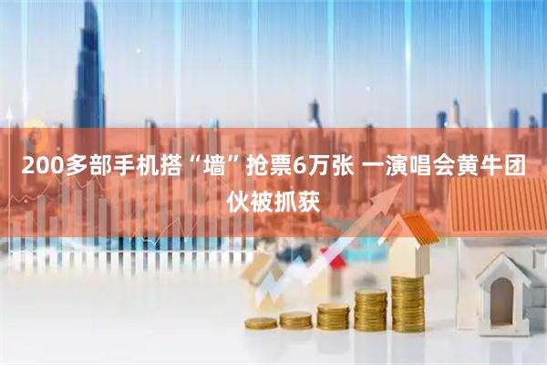 200多部手机搭“墙”抢票6万张 一演唱会黄牛团伙被抓获